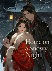 home-on-a-snowy-night-cover