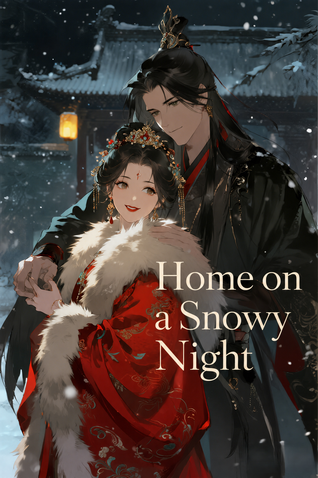 home-on-a-snowy-night-cover